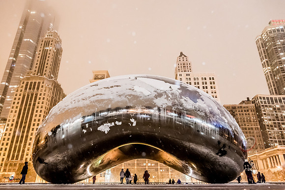 Chicago bean